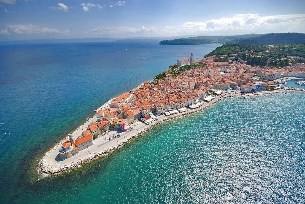 Hanna'S Suite With Free Parking Λιουμπλιάνα Εξωτερικό φωτογραφία